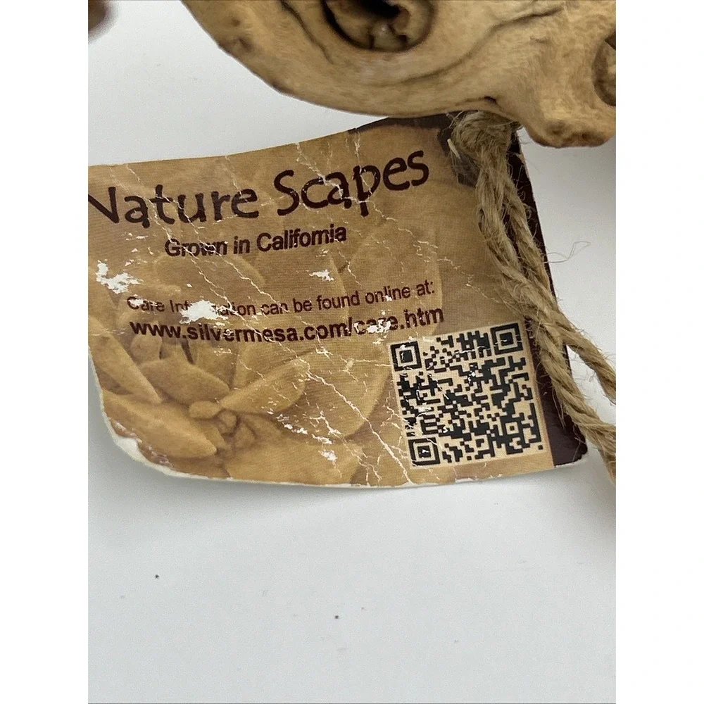 Nature Scapes Grapewood reptiles Or Airplants‎ 14x6 natural stump decor